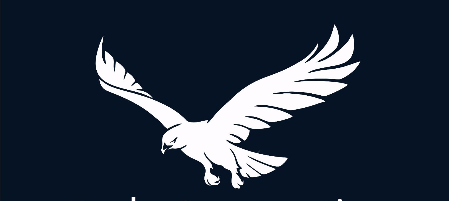 Bald Eagle Building Service